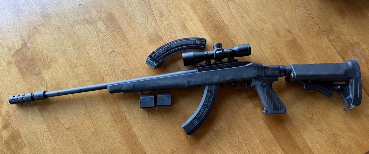 Ruger 10/22 Package