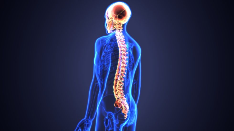 5 Chiropractic Care Tips for Optimal Spine Health