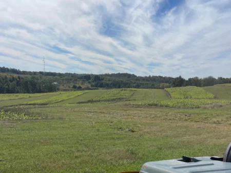 From 6 acres to 136-The next chapter of Heritage Homestead