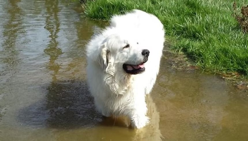 Because we loved you so.