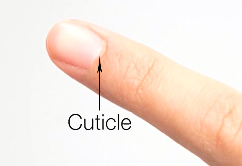 How to care for your nails after your appointment!