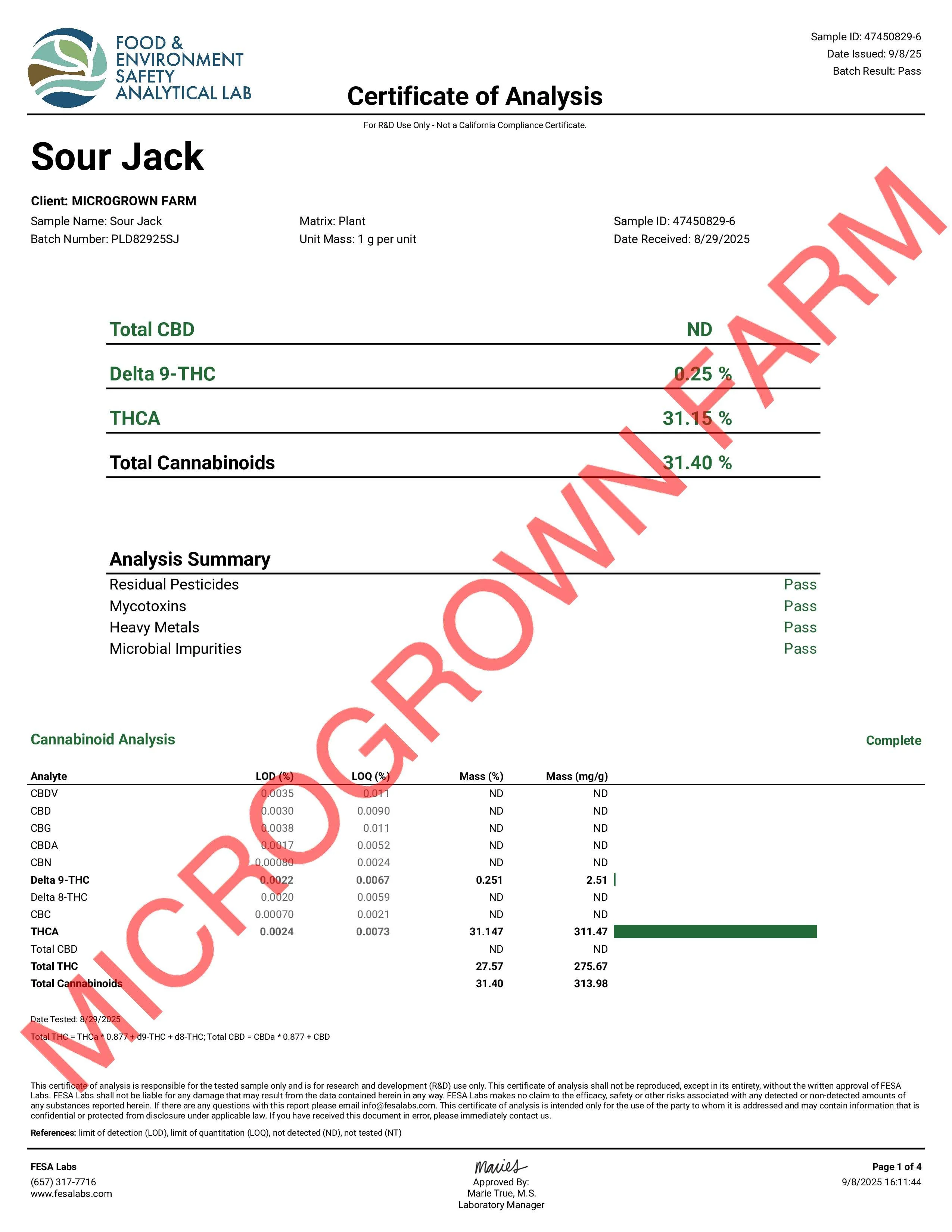 SOUR JACK