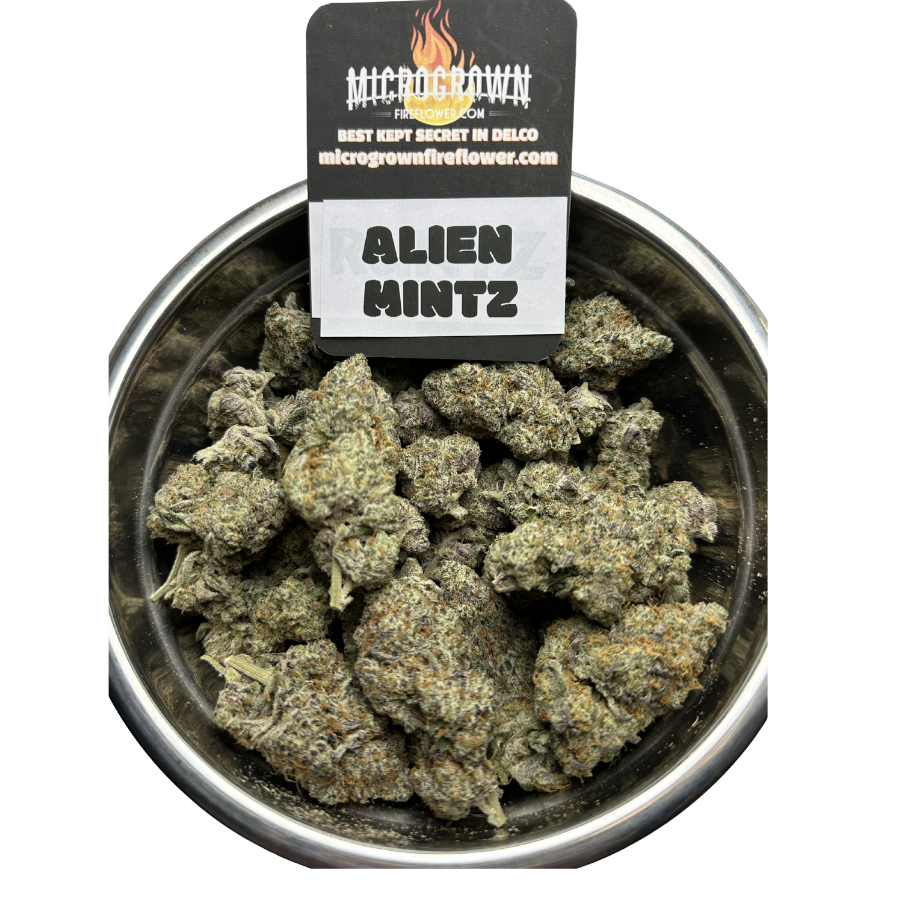 ALIEN MINTS
