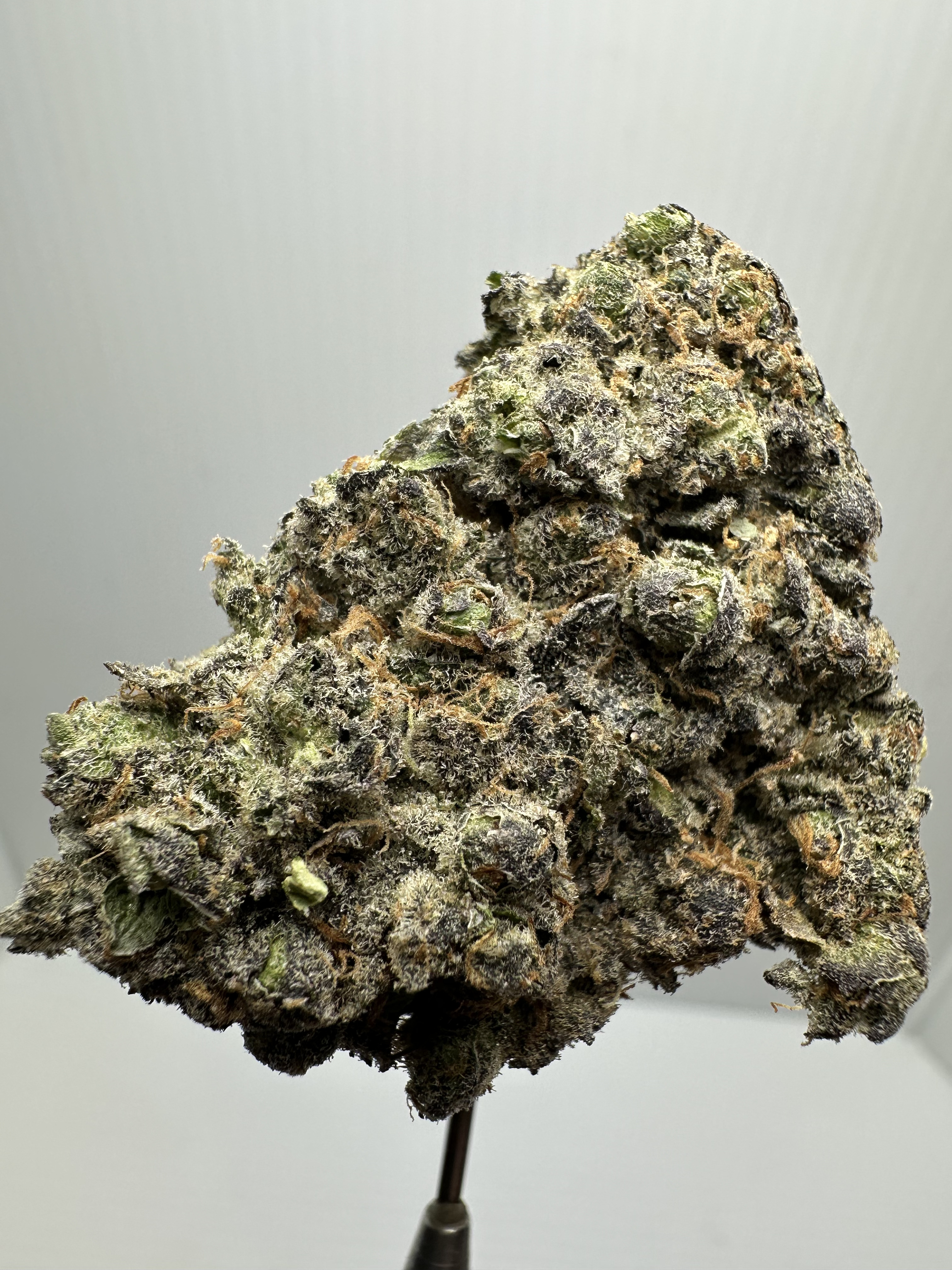 GLITTER GLUE