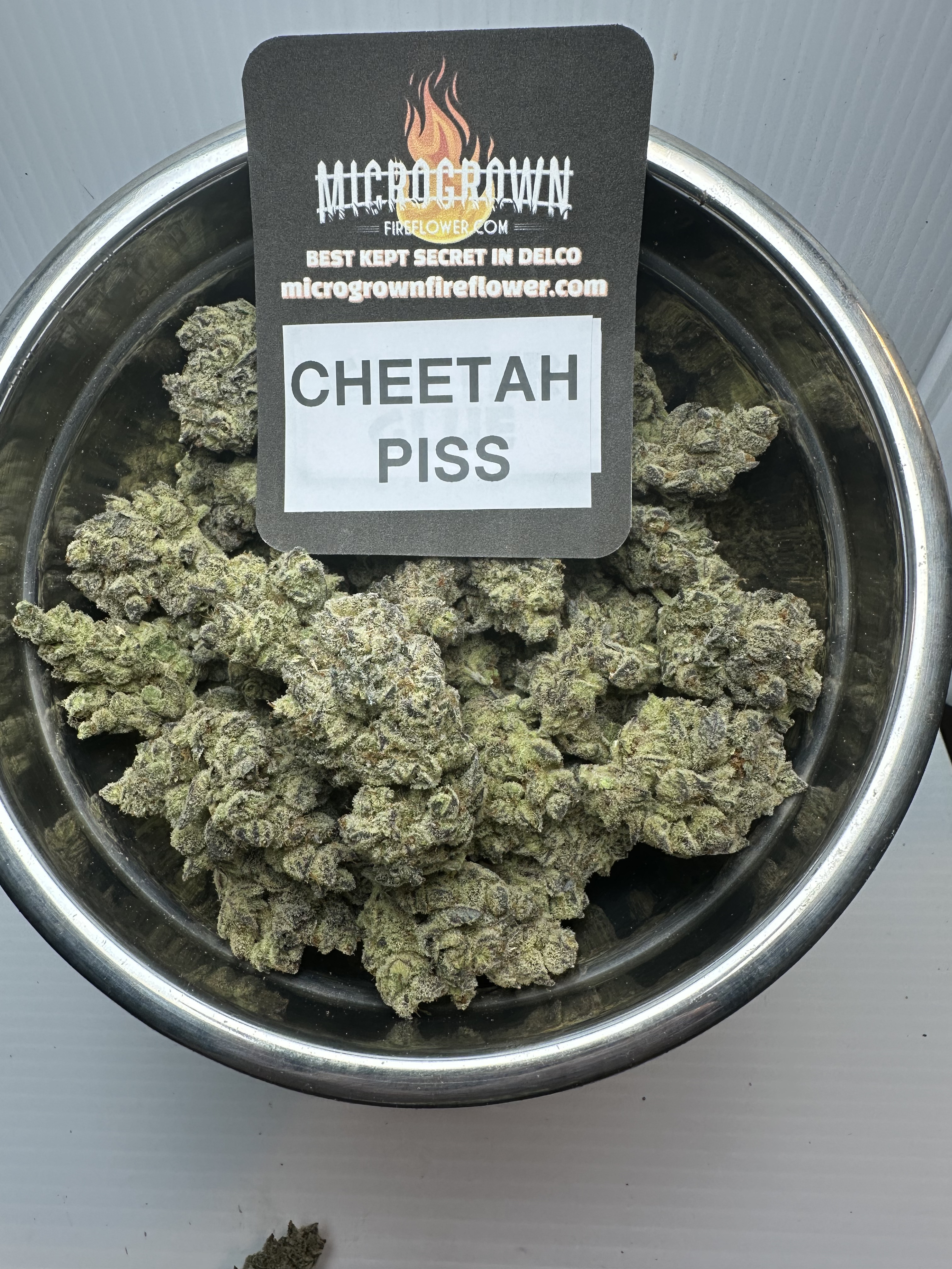 CHEETAH PISS