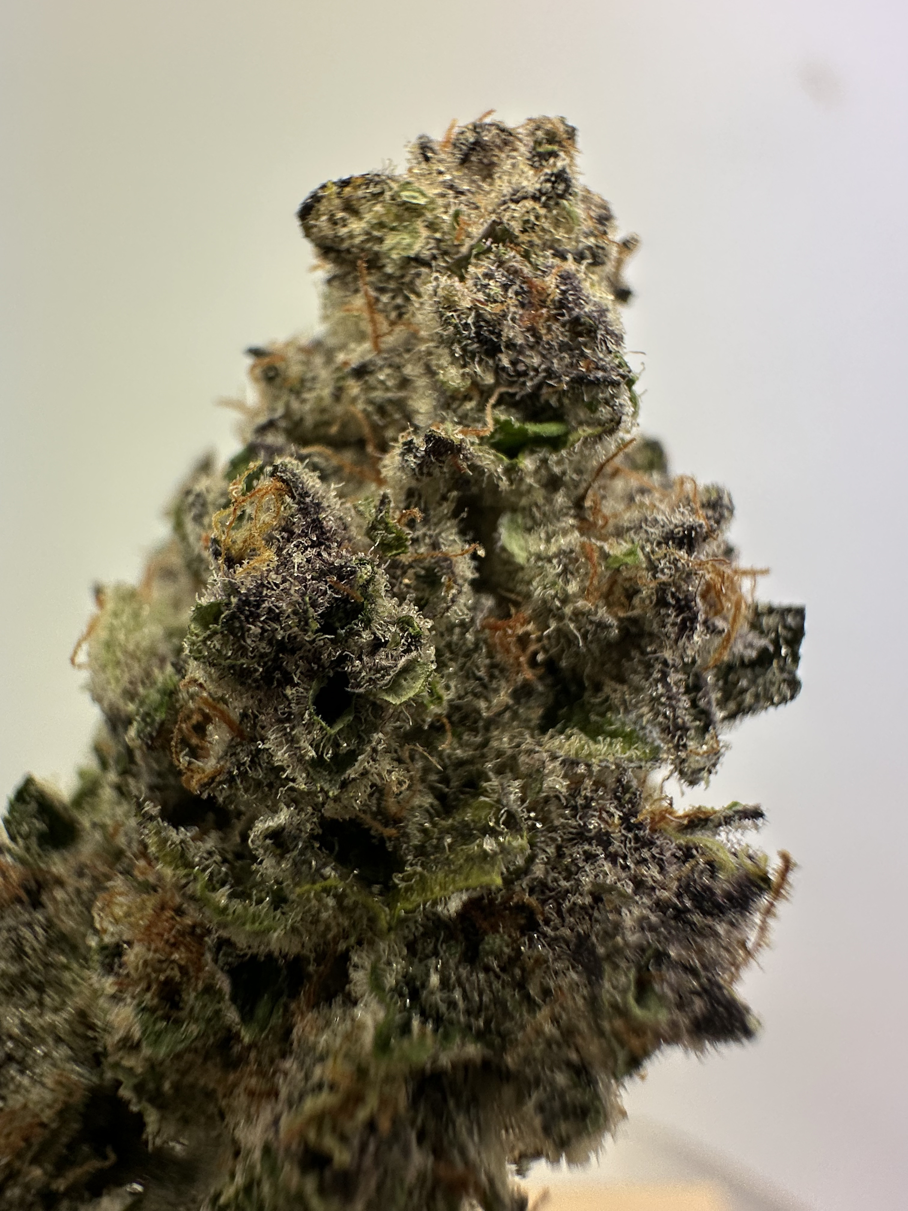 Berry Pie