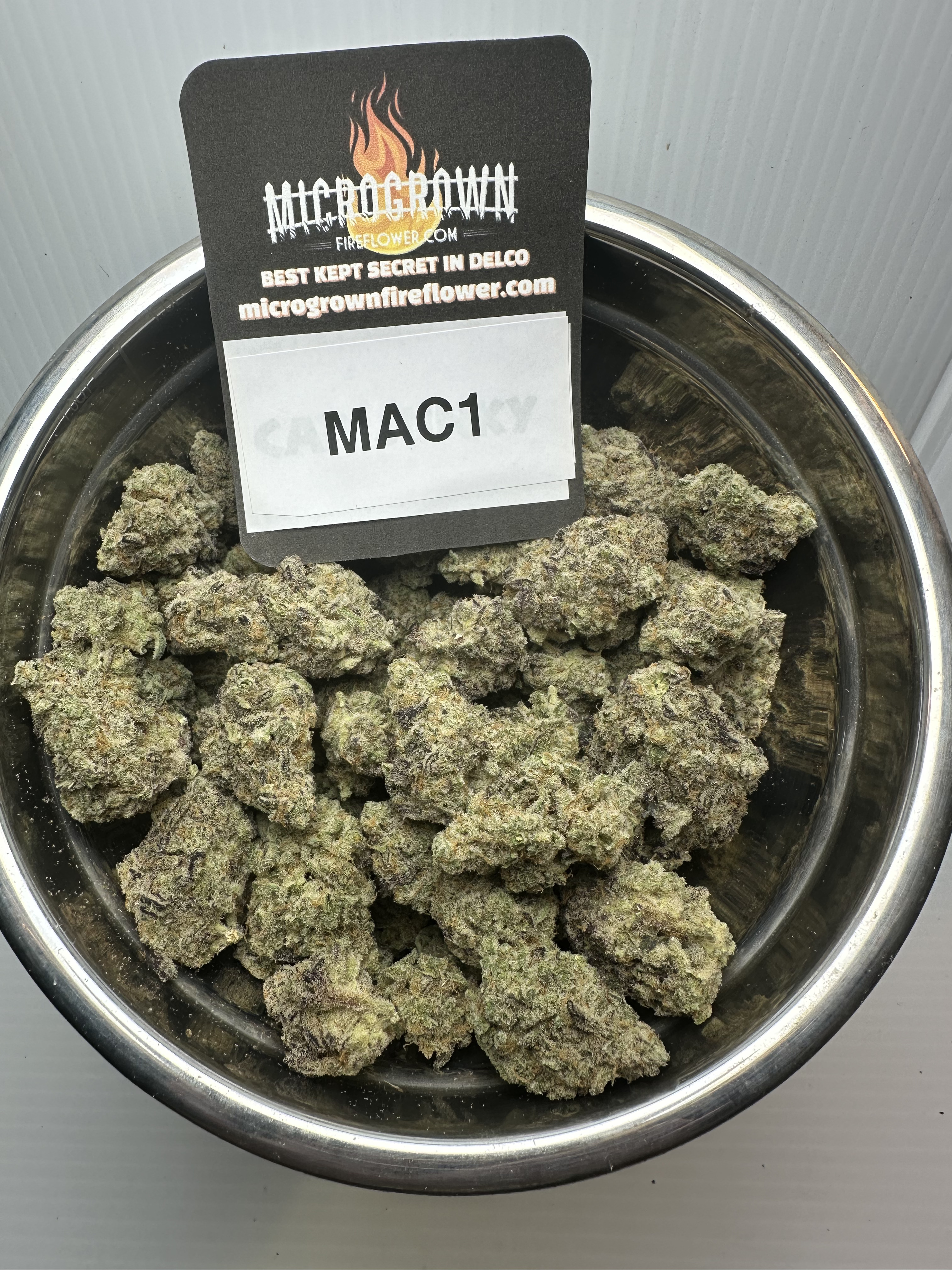 MAC1 - Miracle Alien Cookies