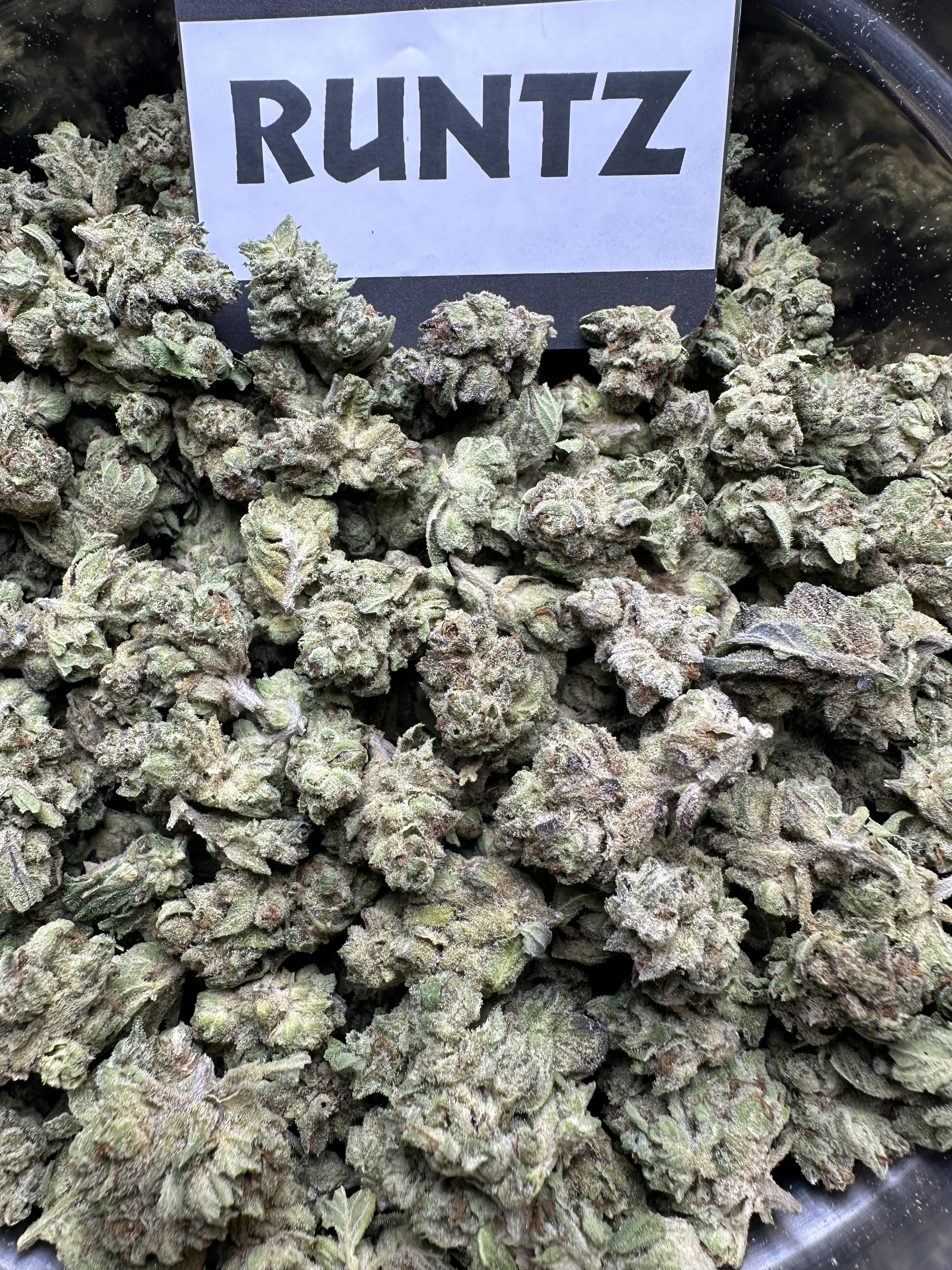 RUNTZ - Quality Flower