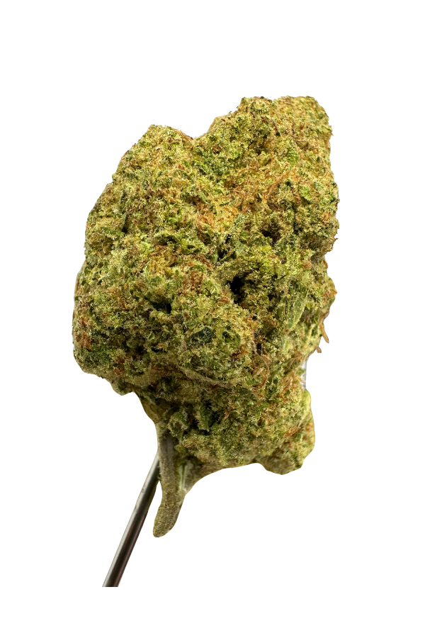 SECRET COOKIES S.O.T.M - AUGUST 2026
